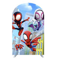 Painel lateral veste-fácil romano Homem-aranha