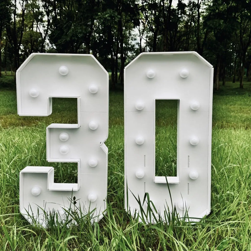 Numeral em led de 73cm